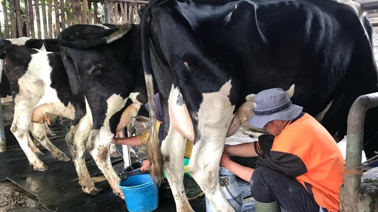 Program Komunitas: LAMB ID Mendukung Petani Lokal dengan Pelatihan dan Sumber Daya